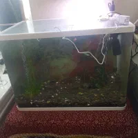 آکواریوم کامل