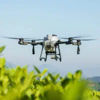 سم پاشی با پهپاد در جیرفت و حومه|خدمات باغبانی و درختکاری|کرمان, |دیوار