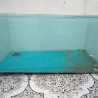 آکواریوم « اکواریم »