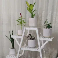 استند گل و گیاه