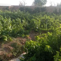 باغ اماده با مکان ویژه|فروش خانه و ویلا|فرمهین, |دیوار