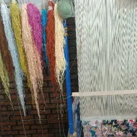 فرش زرنیم نیمه کاره|فرش|تبریز, |دیوار