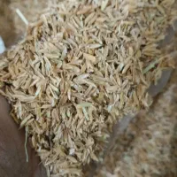 پوسته چلتوک پوست برنج