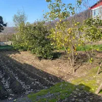 زمین مسکونی 500 متر