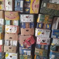 کارتون موزی|حراج|اسفراین, |دیوار