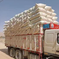 کاه گندم گاوی درشت و گوسفندی نرم موجوده|حیوانات مزرعه|مبارکه, |دیوار