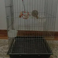 قفس پرنده۲میلیون