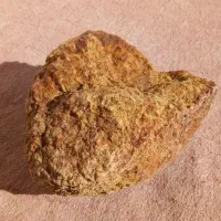 سنگ|کلکسیون اشیاء عتیقه|جوین, |دیوار