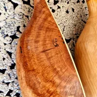 تنبور تار  سه تار دوتار