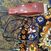 سر تراتش بت فروش میرسد