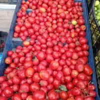 mioeiiii|خوردنی و آشامیدنی|فولادشهر, B7|دیوار