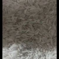 برنج ایرانی به شرط پخت با ارسال رایگان