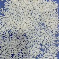 برنج ایرانی ممان|عمده‌فروشی|میانه, |دیوار