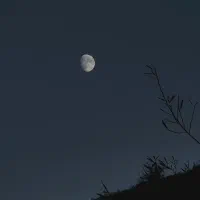 شیائومی mi11 ultra|موبایل|ارومیه, |دیوار