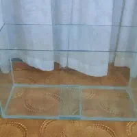 آکواریوم ماهی