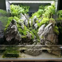 پالاداریوم نیک|گل و گیاه طبیعی|اندیشه, شهرک مریم|دیوار