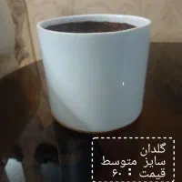 گل طبیعی لطفاً ورق بزنید|گل و گیاه طبیعی|مشهد, هنرور|دیوار