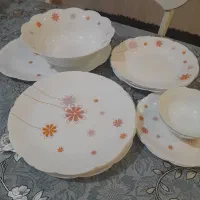 سرویس ارکوپال  بعضیاش کمه  و زود پز خارجی اصل|ظروف سرو و پذیرایی|مشهد, گاز|دیوار