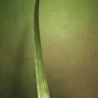 کاتانا ژاپنی|کلکسیون اشیاء عتیقه|تهران, قیطریه|دیوار