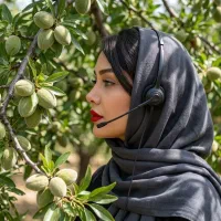 فروش نهال بادام ربیع در مشگین شهر، راهنمای کاشت