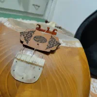 تار دو مهر ارشد مورد تایید اساتید