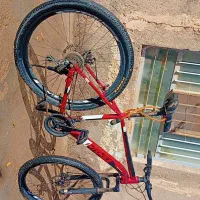 دوچرخه|دوچرخه، اسکیت، اسکوتر|نیمبلوک, |دیوار