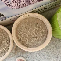 گلدان سفالی و خاک|گل و گیاه طبیعی|کرج, فاز ۳ گوهردشت|دیوار