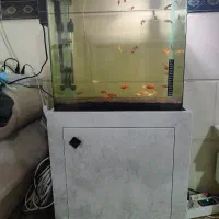 آکواریوم پلنت شیشه خم با کمد