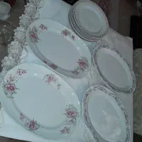 ظروف سرو و پذیرایی