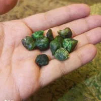 گارنت دمانتویید کرمان|جواهرات|تهران, شهرک بوعلی|دیوار