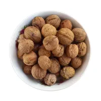 گردو تازه محلی درشت