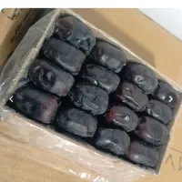 بهترین خرما بفروش میرسد