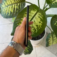 a33 5G|موبایل|تهران, شهرک پرواز|دیوار