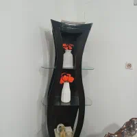 ویترین خانگی