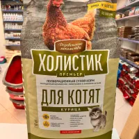 غذای سگ و گربه