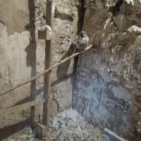 کفتر 24 عدد جوان|پرنده|فردیس, فردیس|دیوار