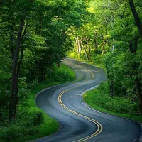 بهشت-روی-زمین-باغچه-با-درختان-میوه-محله-ارنگه