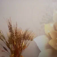 طبق عکس|بدلیجات|بروجرد, |دیوار