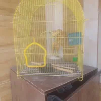 قفس پرنده بزرگ درجم