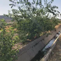 زمین باغ ۲۵۰ متر|فروش زمین و ملک کلنگی|تهران, یافت‌آباد|دیوار