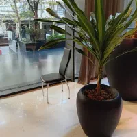 استخدام نیروی خدمات (نظافتچی) مقیم