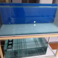 اکواریوم ۱۵ میل ابعاد ۱۷۰*۶۰*۶۰|ماهی|تهران, هفده شهریور|دیوار