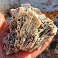 سنگ ناترولیت کلسدونی صادراتی.با خرما معاوضه|جواهرات|بوشهر, |دیوار