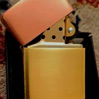 ارمور کیس مغزی طلایی زیپو