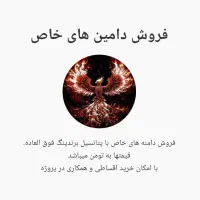فرو‌ش و اجاره دامنه (دامین) های خاص|قطعات و لوازم جانبی رایانه|تهران, ترمینال غرب|دیوار