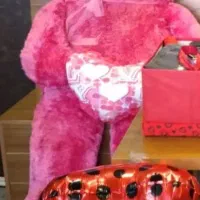 عروسک.شاخصین.خرس|اسباب‌‌بازی|تهران, شهرک رضویه|دیوار