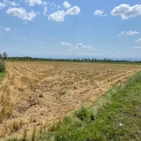 2-هکتار-زمین-کشاورزی