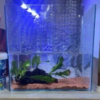 آکواریوم در ابعاد دلخواه شما