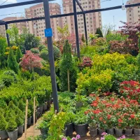 خدمات باغبانی و فضای سبز و آبیاری قطره ای هوشمند