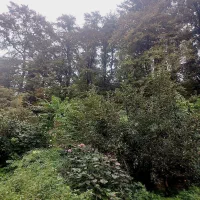 ۶۰متر یک خوابه|اجارهٔ کوتاهمدت ویلا و باغ|خرمآباد (تنکابن), |دیوار